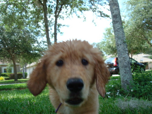 TampaForclosure's profile picture. 