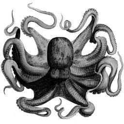 jnvasilas's profile picture. nada