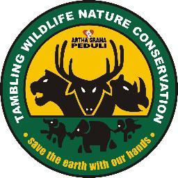 Tambling Wildlife Nature Conservation is a home for many endangered species such as tiger, elephant, sun bear, clouded leopard and rhinoceros hornbill.