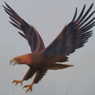 FHSKindness's profile picture. Looking forward to making someone smile.