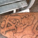 Steven Perini - @italiano18s - Twitter