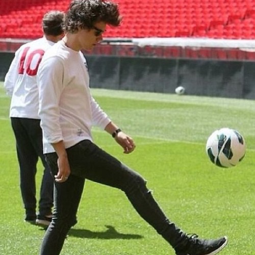 I LOVE HARRY