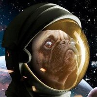 Puggs In Space (@puggsinspace) 's Twitter Profile
