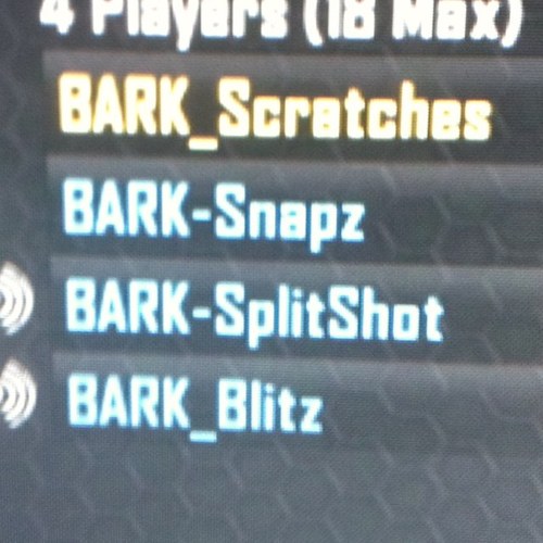 BarkClan's profile picture. 