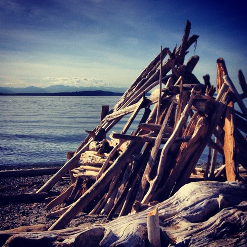 bryanripka's profile picture. 