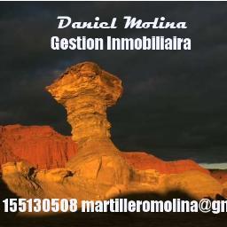 DANIEL  MOLINA 
MARTILLERO PUBLICO - CORREDOR DE COMERCIO
