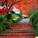 Amanda Hidalgo  - @Hildago7 - Twitter