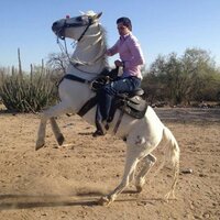 nadim abraham duarte (@nadimabraham) 's Twitter Profile
