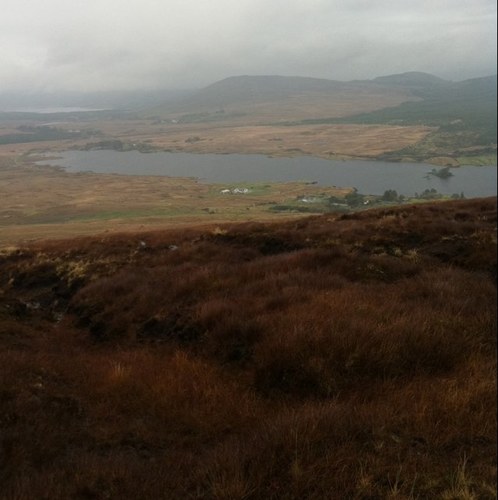 Enjoy running and hiking, training for my first marathon,