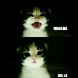 _shahine's profile picture. واحده مش هيفهمها حد و يبختوكو بيا بجد :p