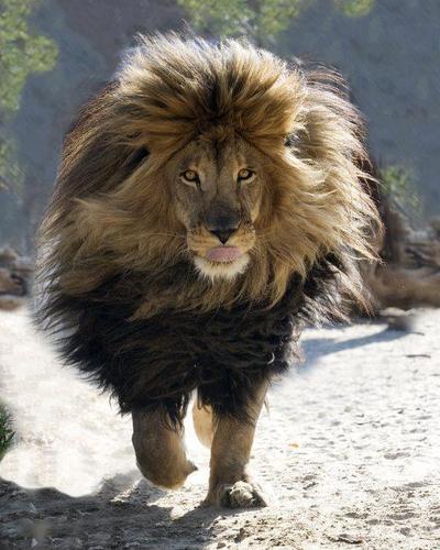 83Faraha's profile picture. 