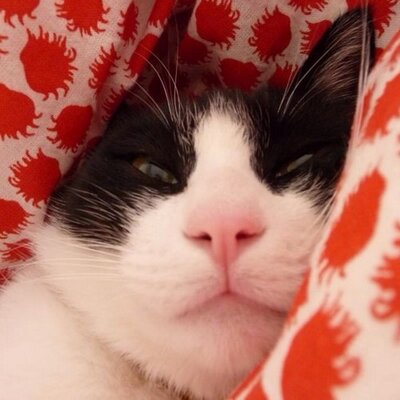 最高の離婚 名言集 缶詰 缶詰が発明されたのは1810年なんですってよ で 缶切りが発明されたのが1858年 おかしいでしょ でも そういうこともあるのよ 大事なものが あとからおくれてくることもあるのよ 愛情だって 生活だって 濱崎亜以子 Twitter 最高の離婚 名言集 缶詰 缶詰が発明されたのは1810年なんですってよ で 缶切りが発明されたのが1858年 おかしいでしょ でも そういうこともあるのよ 大事なものが あとからおくれてくることもあるのよ 愛情だって 生活だって 濱崎亜以子 Twitter