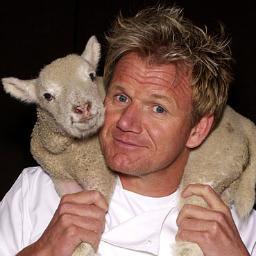 I'm Gordon 'fucking' Ramsay and don't you call me anything different. PARODY ACCOUNT.