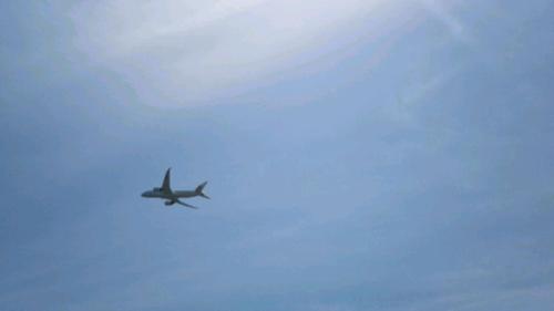 oniyanmark's profile picture. 