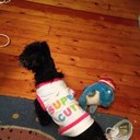 Danielle Corbett - @DanielleCorbet1 - Twitter