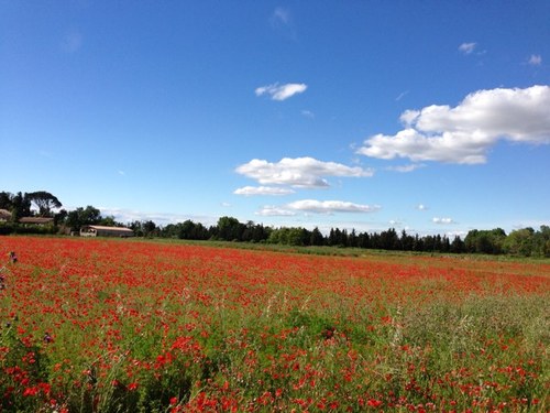 JazcoAziza's profile picture. 