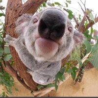 Jorge Montero (@jorgeschranzy) 's Twitter Profile