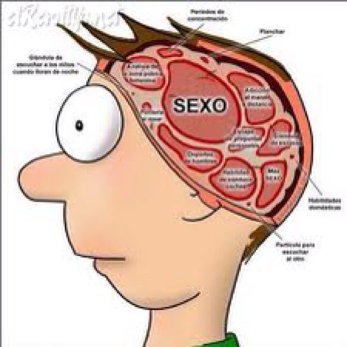 pacotoro69's profile picture. 