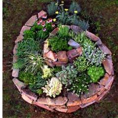 Creating sustainable food and living systems in the Jewel of England - Billericay