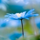 Ronald Cleary - @RonaldCleary6 - Twitter