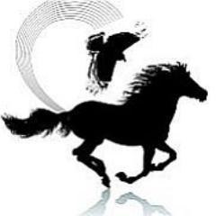 Morrigan Horse Rescue and Rehab Inc. for hard case rescue horses.
Author of horse care books.