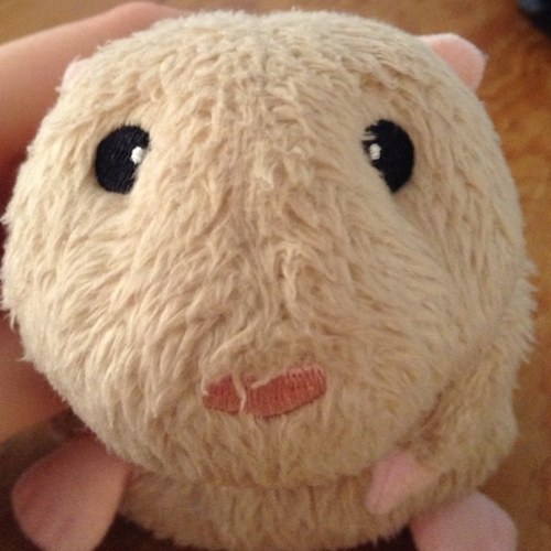 Hamishamsterish's profile picture. 