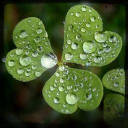I love my past. I love my present. I’m not ashamed of what I’ve had, and I’m not sad because I have it no longer.-Colette