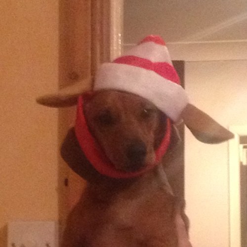 barriestorey07's profile picture. 