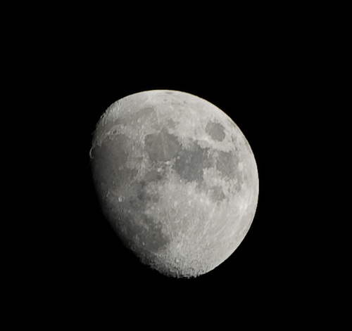 Alexandr Shutov Profile