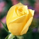 David Kurz - @DavidKurz6 - Twitter