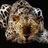 DennisOwen111's profile image