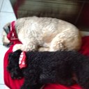 Sabine Simon - @SabineSimon1 - Twitter