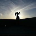 J. Alberto Saavedra - @AnuroPuro - Twitter