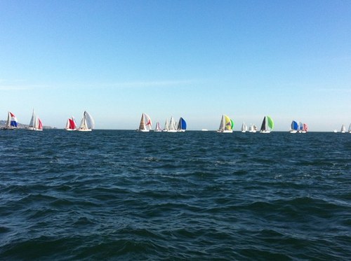 RachelTubridy's profile picture. 