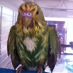 katinamike's profile picture. Husband to Katina. ‘Father’ to Miranda May. Believer in Jesus of Nazareth.