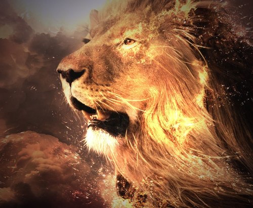 SimbaaDaLion's profile picture. Da King Own da Arena