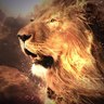 SimbaaDaLion's profile picture. Da King Own da Arena