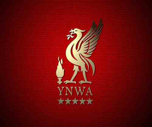 metal_jay7's profile picture. #LFC #METAL!!!