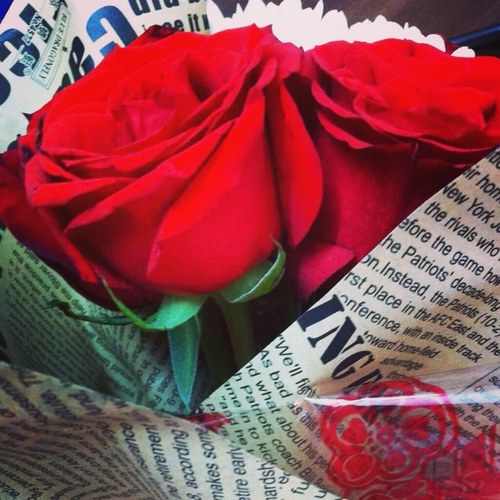 Alshmry7oo7's profile picture. 