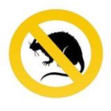 Do you have a pest problem? We are able to help you get rid of all types of common pests including Rats, Wasps, Cockroaches and much more! Tel: 01932 379 694