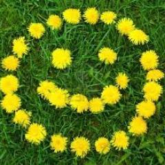 Be helpful. When you see a person without a smile, give them yours – Zig Ziglar