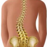 Scoliosis Boy (@scoliose2013) 's Twitter Profile