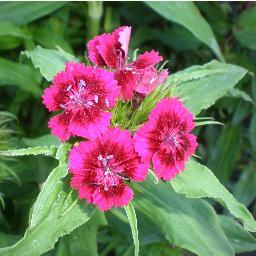 TaraktashTara's profile picture. РАЙский уголок для тех, кто устал от городской суеты...Отдых в Крыму круглый год.Судак.Эко-усадьба ТАРАКТАШ.