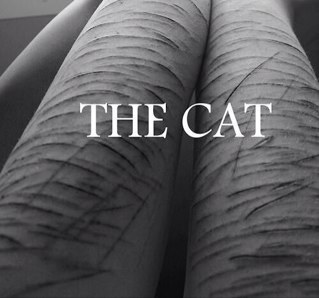 BF Ana, Cat, Bri, Annie. Depart, 58kg. Actuel, 53kg. Vœux, 48kg. 1m70. I'm this kind of depressed girl who doesnt want to be help.