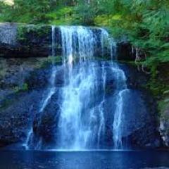 The most important thing in life is to learn how to give out love, and let it come in – Morrie Schwartz