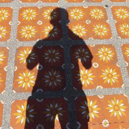 Travel tweets, plus other random brain jolts.