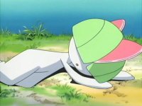 UnRaltsOlvidado's profile picture. Mi entrenador pensó que sería una molestia en su camino y tiró mi pokeball a la hierba.Macho de nivel 3.Tipo Psíquico.