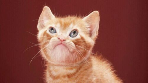 martadls92's profile picture. Vivo en pinos, tengo una casa de narcotraficante y soy adicta a las drogas, meo con frecuencia pero no es problema lo hago en cualquier lado. Enfin esa soy YO