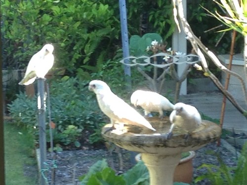 dprcolpol's profile picture. 