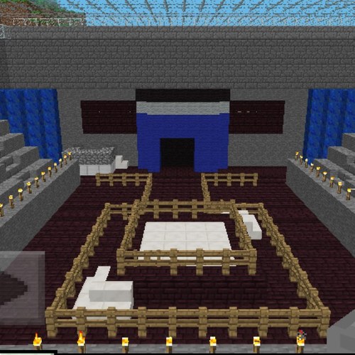 Minecraft and call of duty account